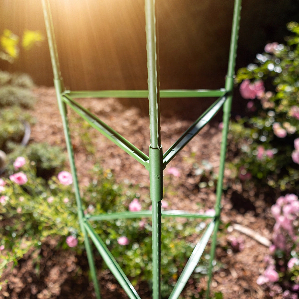 KADAX 6 supporti triangolari per pomodori