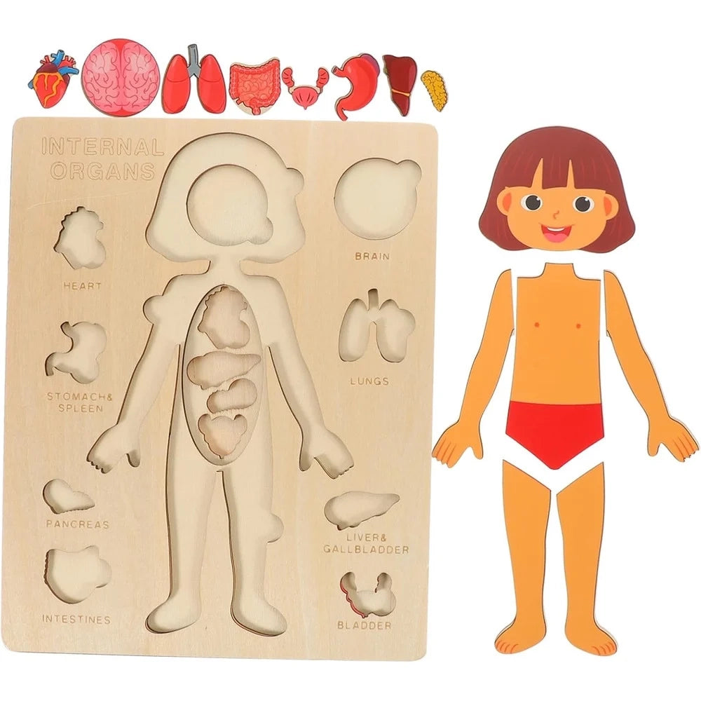 Trade Shop - Puzzle In Legno Educativo A Incastro Per Bambini Anatomia Organi Corpo Umano Bambina 32346 -