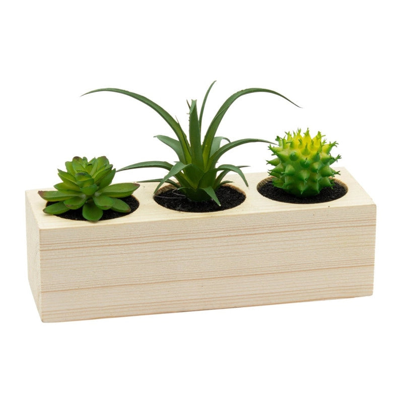 Set di 6 Tris Succulenta In Vaso Legno Rettangolare 20x8x14 Cm