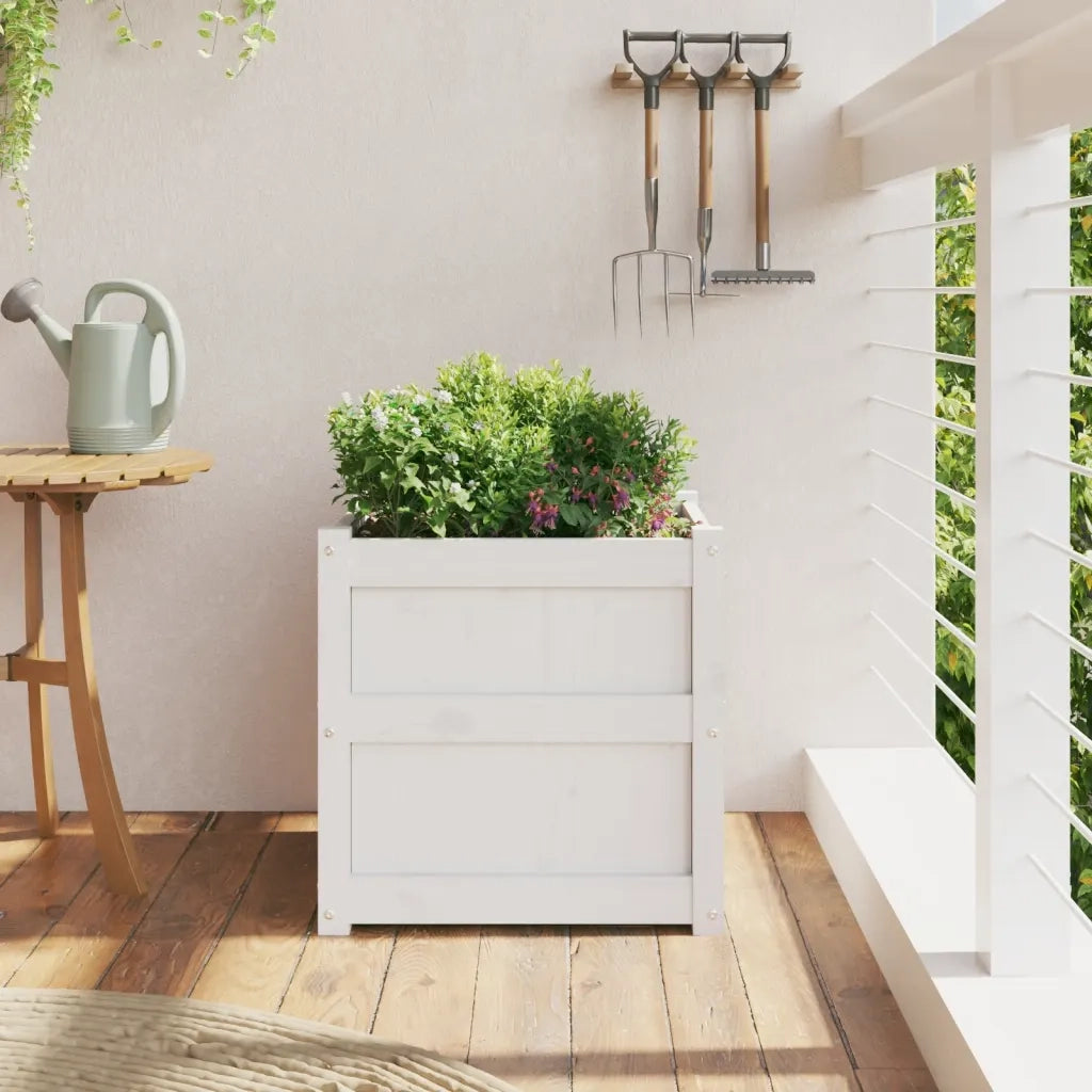 Fioriera | Cassetta per fiori | Vaso da Giardino Bianca 50x50x50 cm Legno Massello di Pino