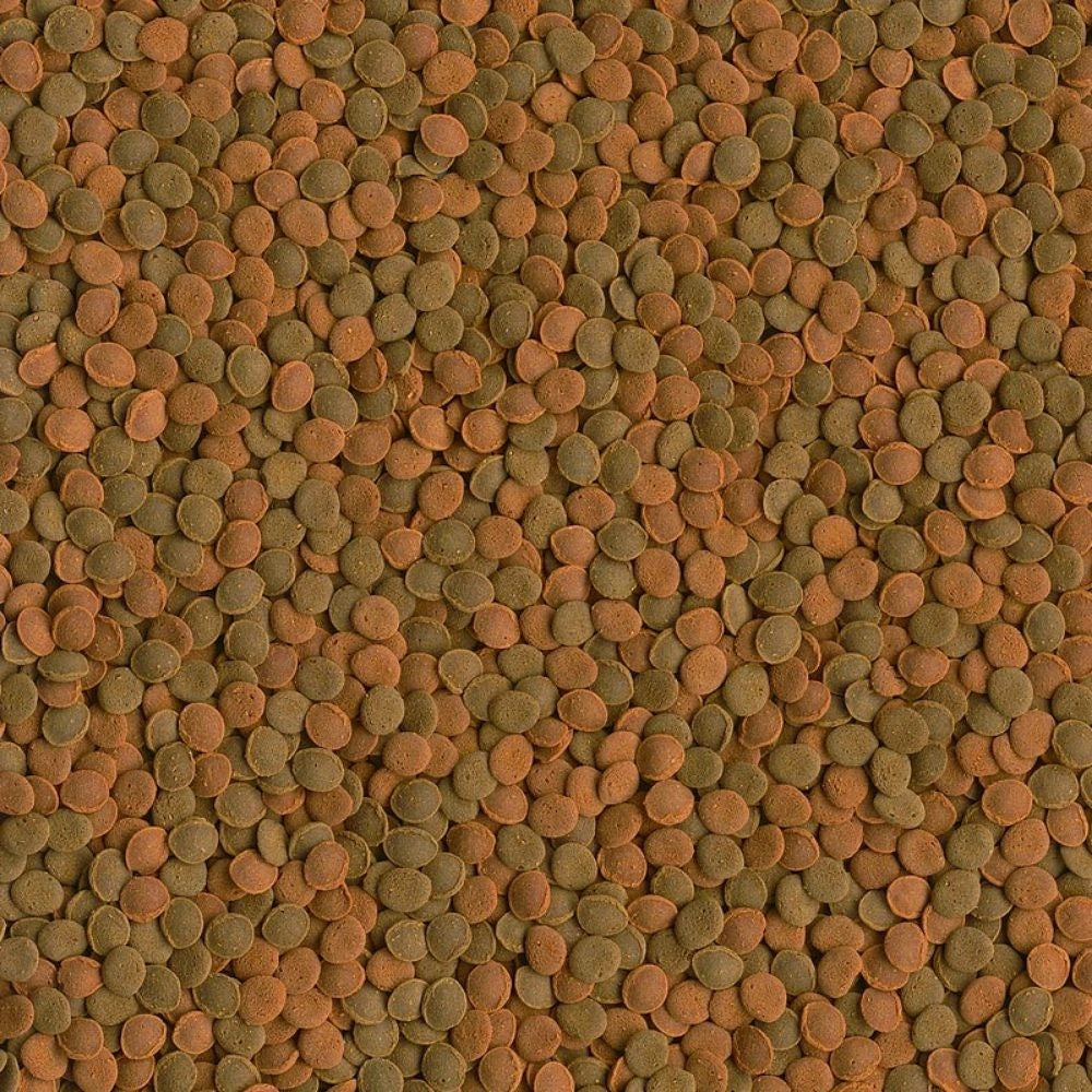Tetra Wafermix Formato: 250 ml