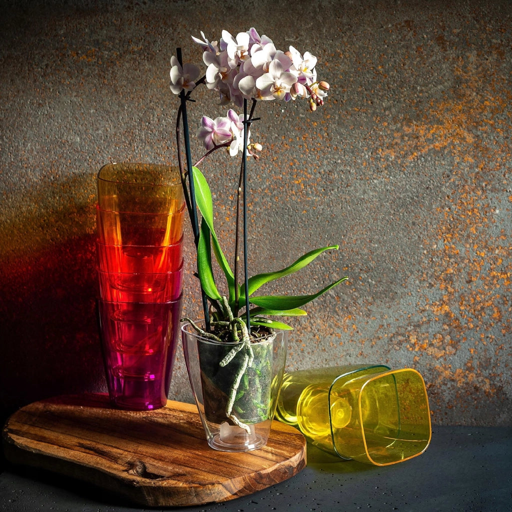 Vaso da fiori KADAX per orchidee, in plastica, rosa tinta unita, 13 cm