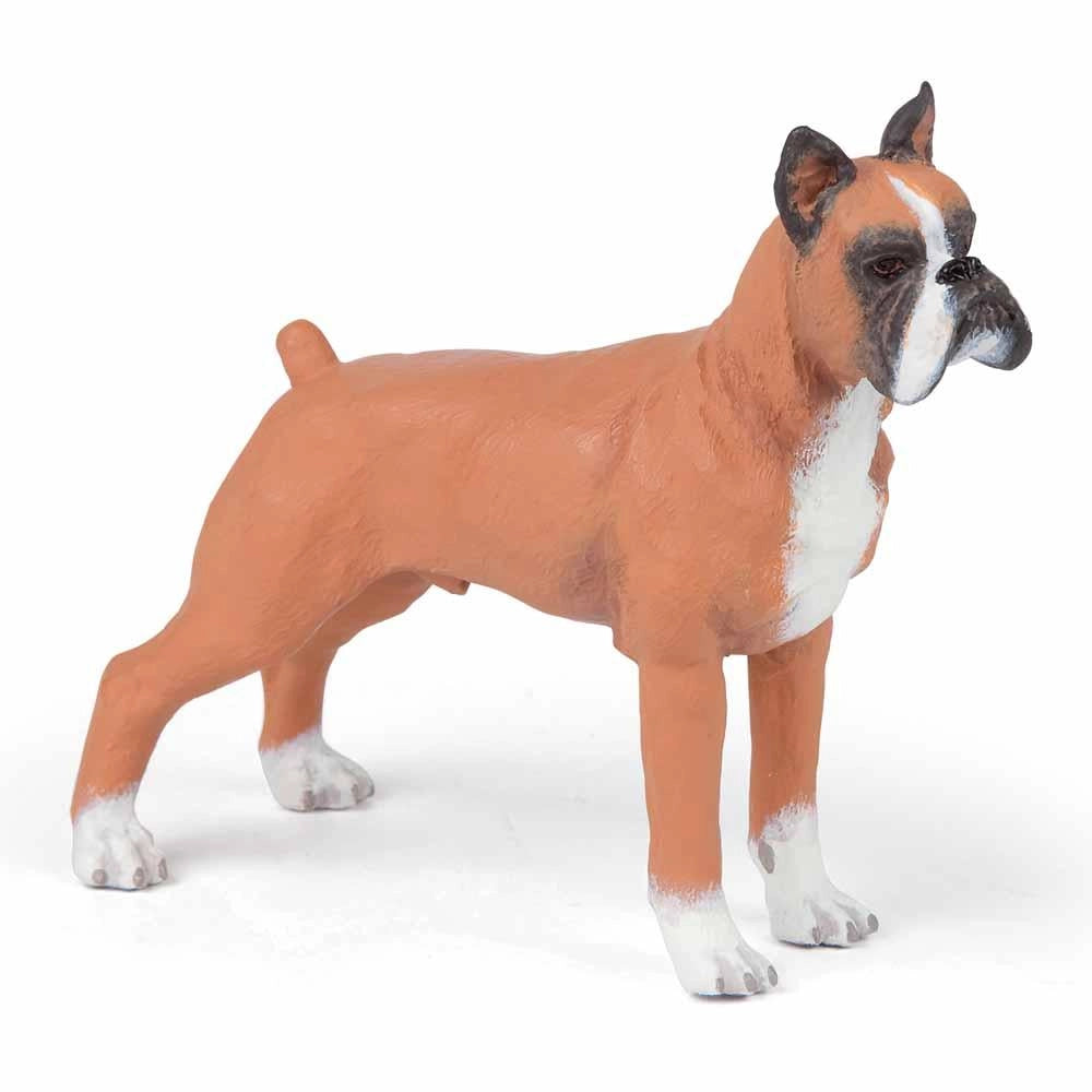 Papo - Boxer