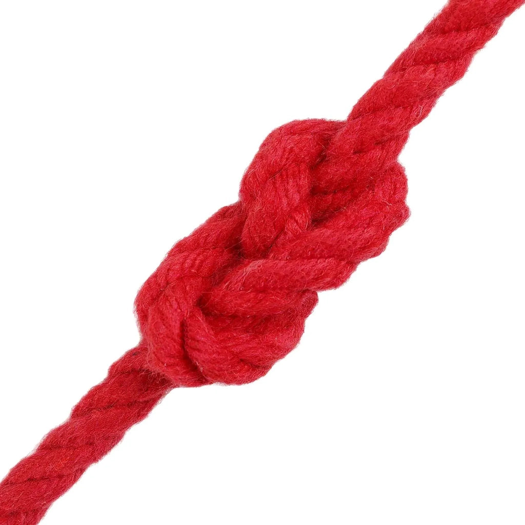 Spago di Cotone 4 mm 100 m Rosso 100% Cotone 42011894