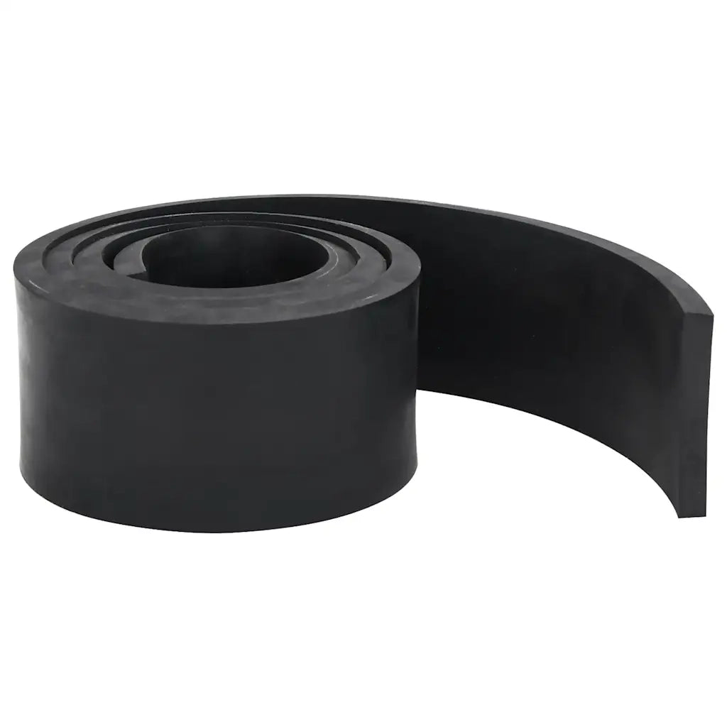 Bordo in Gomma per Spazzaneve Nero 150x10x1 cm 4103520