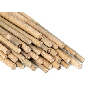 C CANNA BAMBOO NATURALE 240 CM-D.22/24 MM- C LINE GARDEN- 25,0 pz