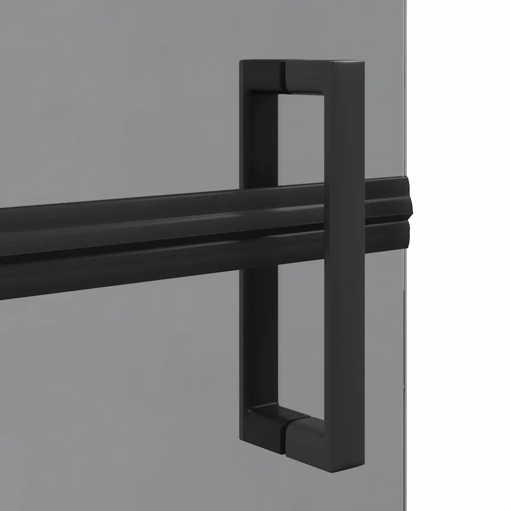 Parete doccia walk-in Nero 100 x 6,5 x 190 cm CFW6036916