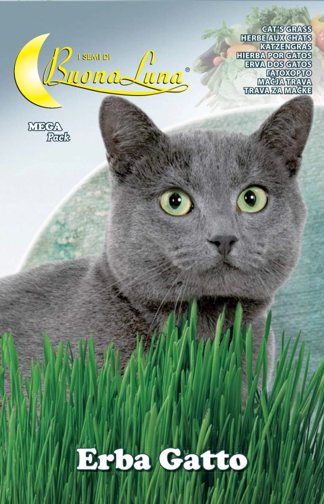 SEMI ORTO ERBA GATTO- HORTUS SEMENTI- 10,0 pz