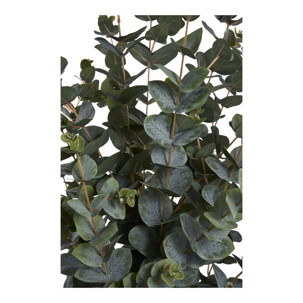 Pianta Artificiale Eucalipto, Verde, Plastica PE, 36x46x120 cm