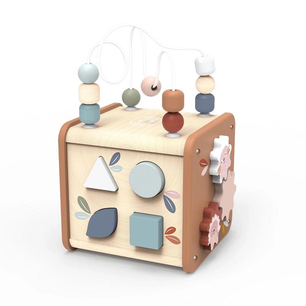 Speedy Monkey - Cubo AttivitA 5 in 1