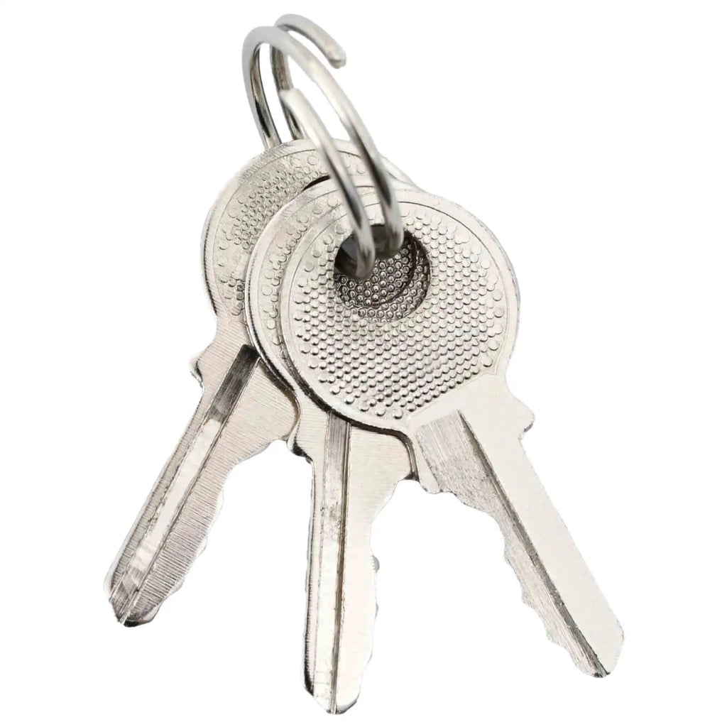 U Lock con Chiavi 100 pcs Ottone Ferro 42021901