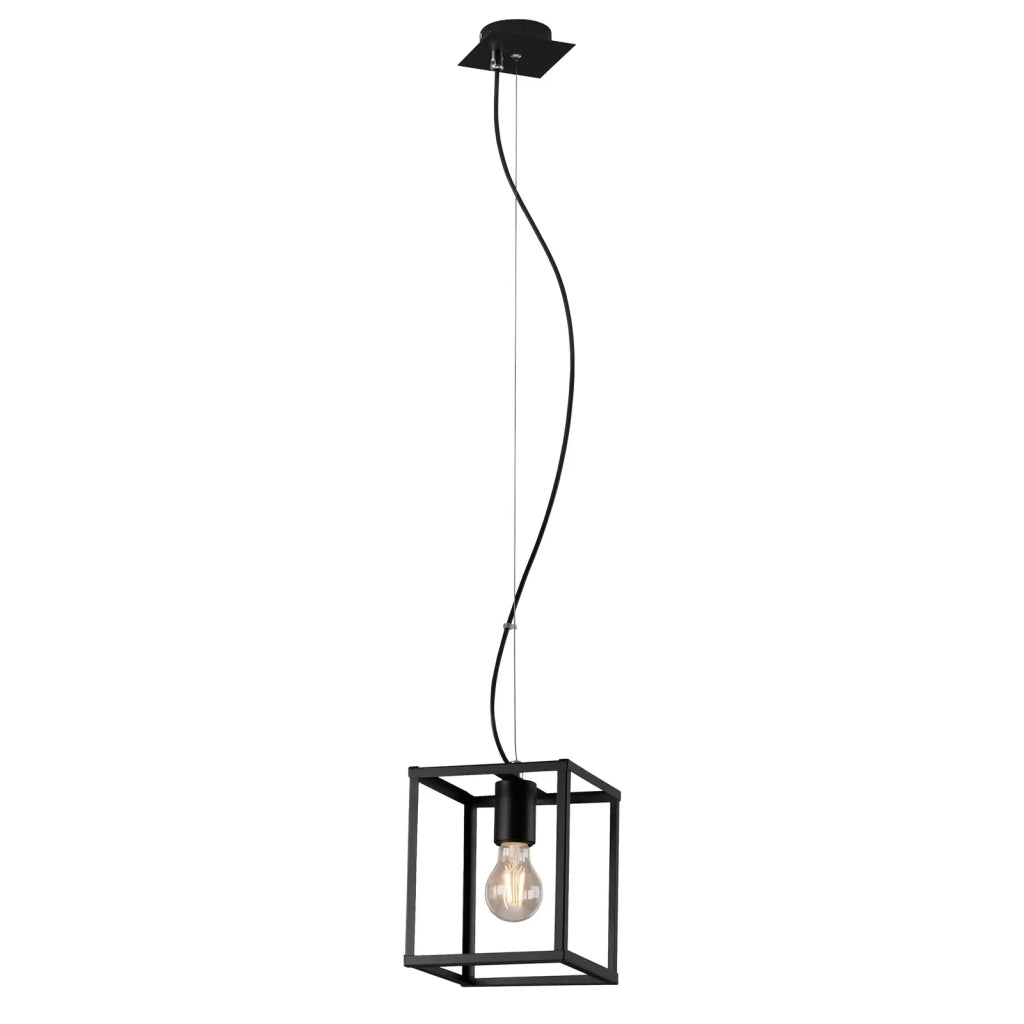 Sospensione Industrial Metallo Nero 1 Luce E27