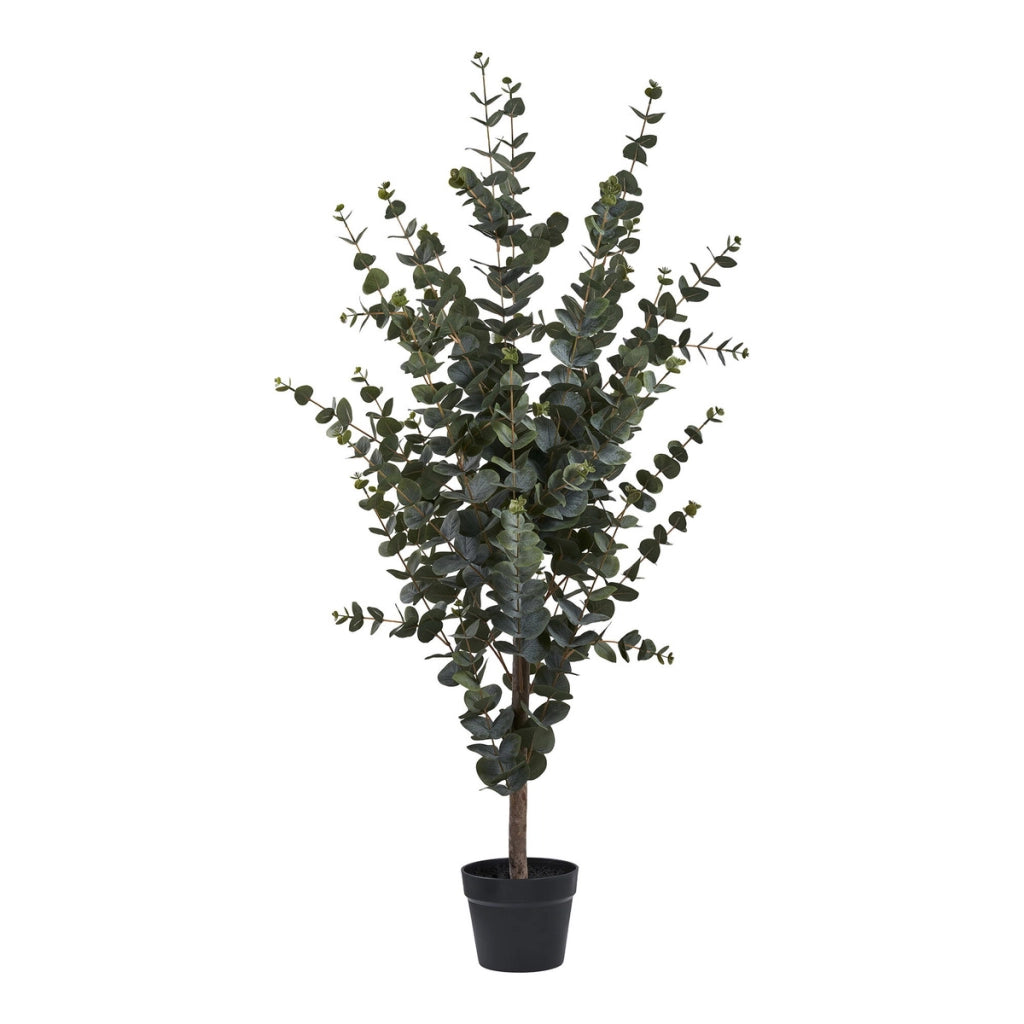 Pianta Artificiale Eucalipto, Verde, Plastica PE, 36x46x120 cm