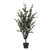 Pianta Artificiale Eucalipto, Verde, Plastica PE, 36x46x120 cm