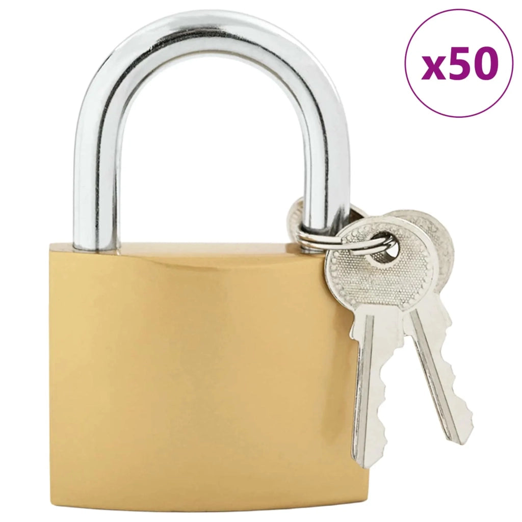 U Lock con Chiavi 50 pcs Ottone Ferro 42021937