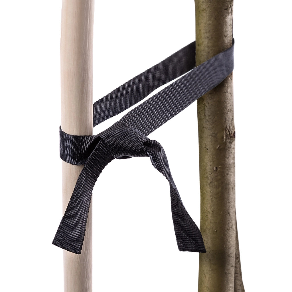 Nastro KADAX per stabilizzare alberi, 50 mm