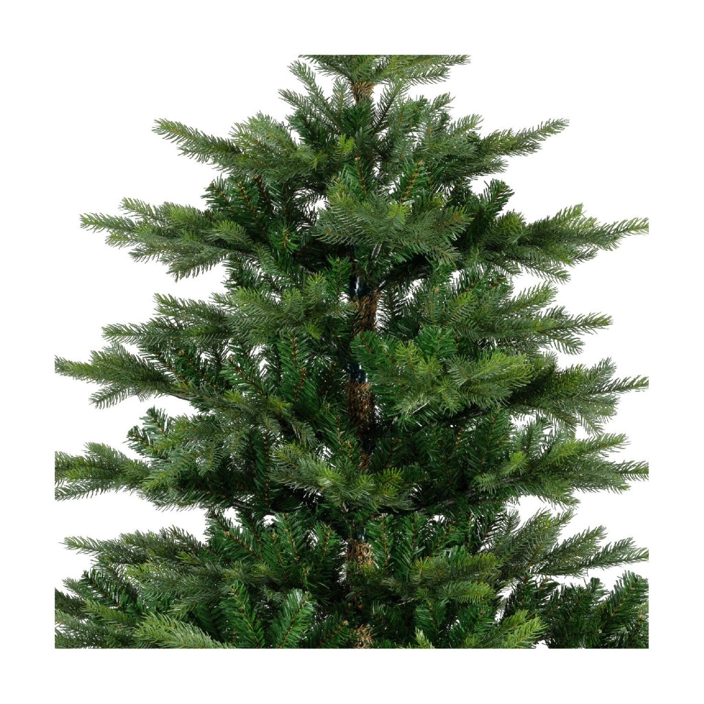 Albero Grandis Fir D162 H240cm verde
