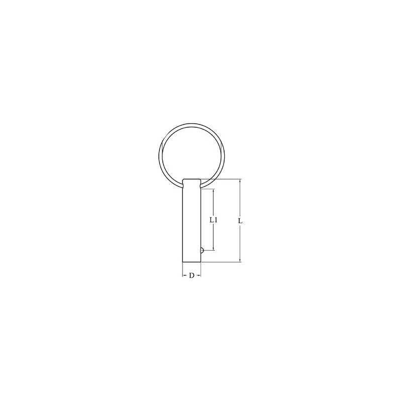 PERNO IN ACCIAIO INOX Ø MM.5X25