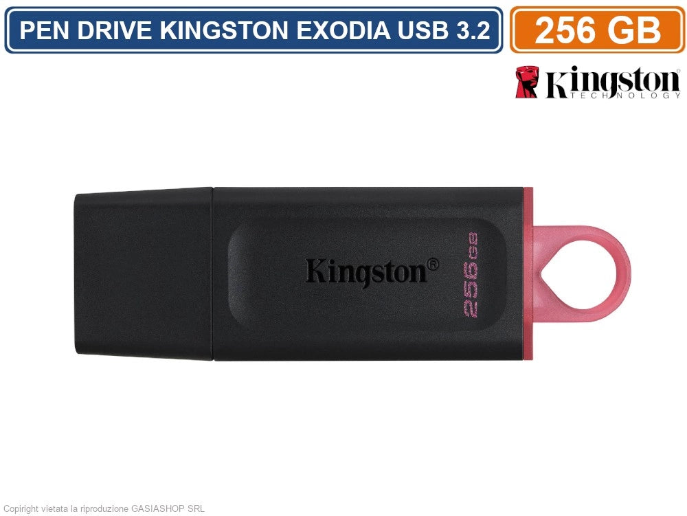 PEN DRIVE KINGSTON DTX/256GB USB 3.2 DATA TRAVELER 256GB PENNETTA CHIAVETTA