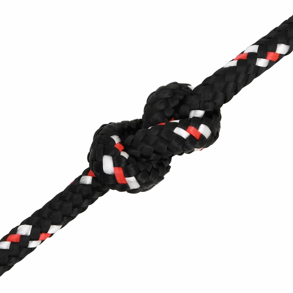 Corda multiuso 20 mm 25 m Nero e Rosso PP 3473083