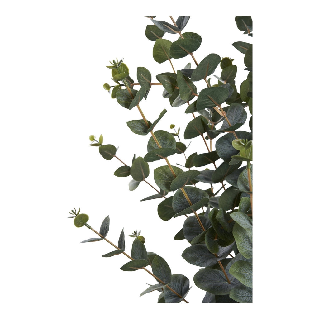 Pianta Artificiale Eucalipto, Verde, Plastica PE, 36x46x120 cm