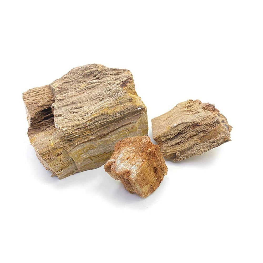 Whimar Aquascaping Box Red Wood Fossil Rock - Set di rocce non calcaree di origine fossile Per Acquari Da: 100 L