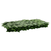 Paravento da Balcone | Schermo per balcone con foglie Verde 600 x 100 cm