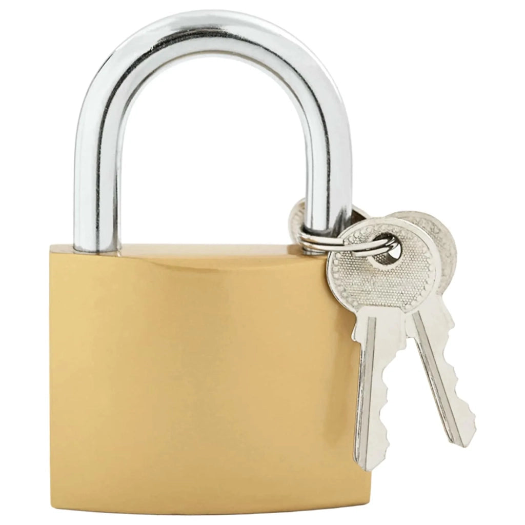 U Lock con Chiavi 50 pcs Ottone Ferro 42021941