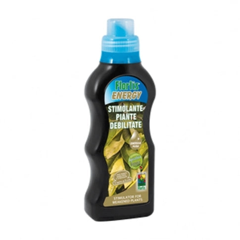 Energy stimolante 500g