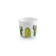 CACHEPOT MAYA 13,5CM  CACTUS- 6,0 pz