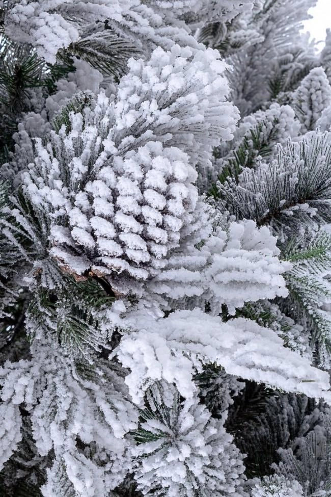 Albero di Natale Artificiale Innevato 180 cm 1383 Rami Verde