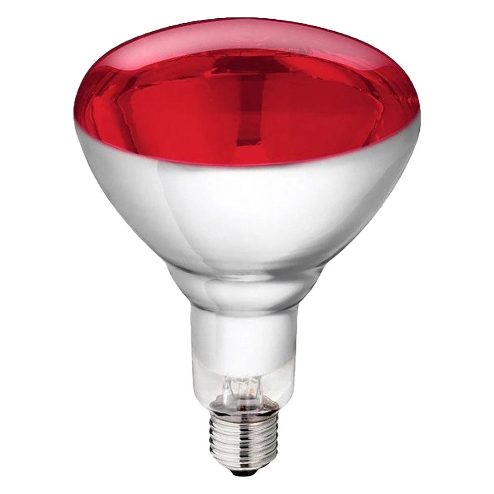 LAMPADA INFRAROSSI PER RIFLETTORE 150 W - E27 PHILIPS  - ALBERT KERBL