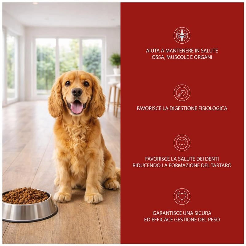 OPTIMO CROCCHETTE PER CANE CON MANZO IN FORMATO DA 10 KG
