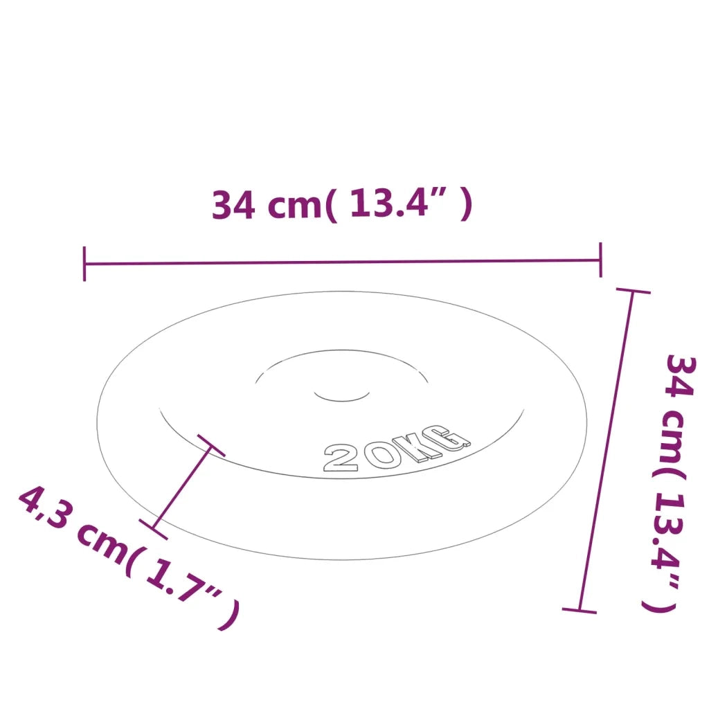 Disco per Pesi 40 kg in Ghisa CFW3513175