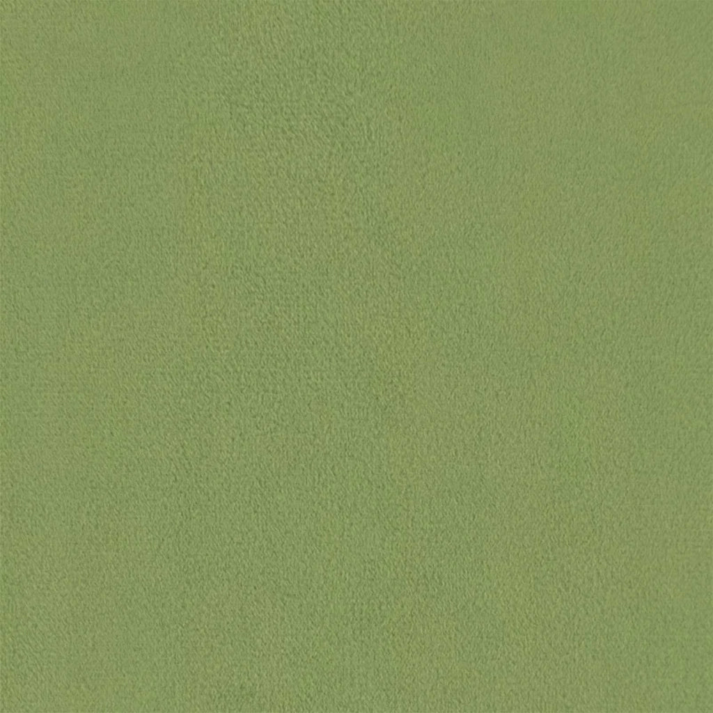 Poltrona decorativa Verde chiaro Velluto 42044798