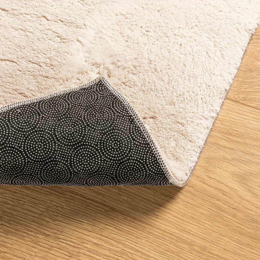 Tappeto del soggiorno | Tappeto a Pelo Corto HUARTE Morbido e Lavabile Beige 80x150 cm