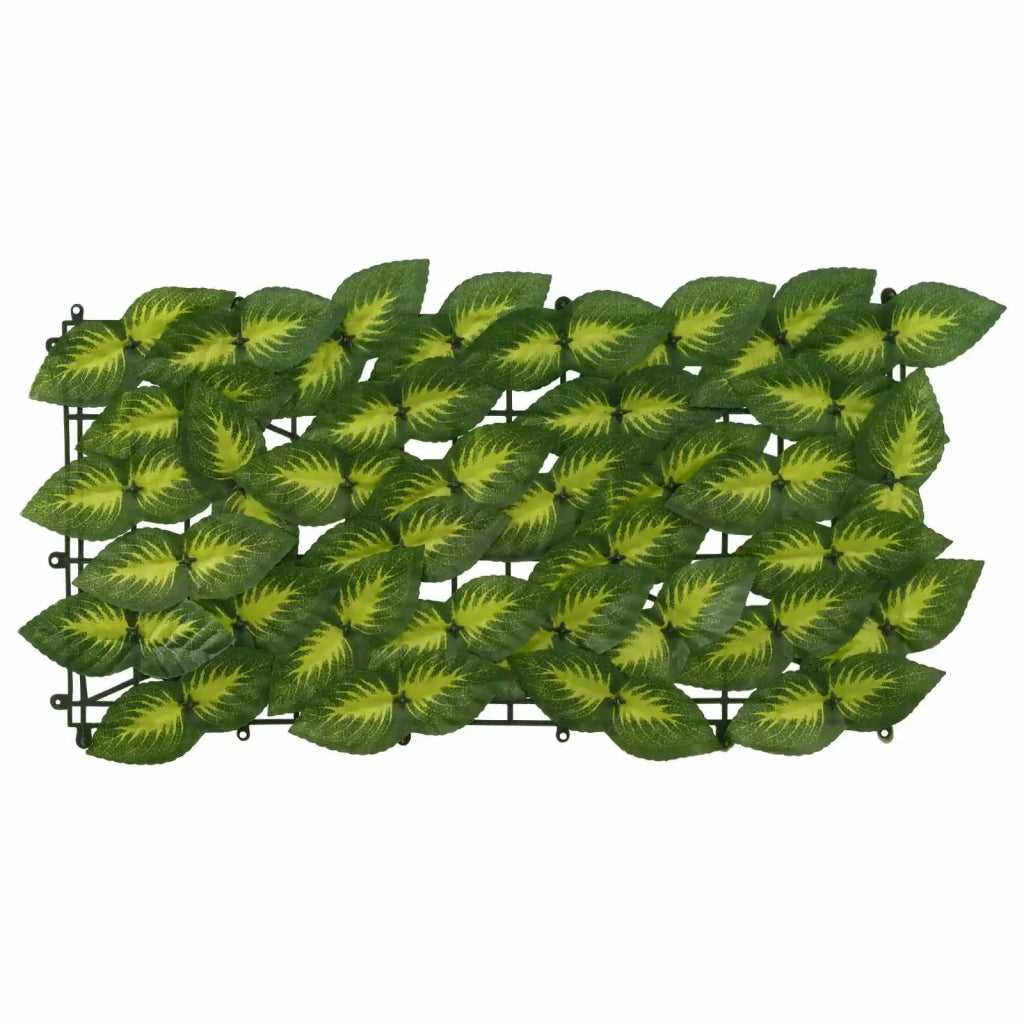 Paravento da Balcone | Schermo per balcone con foglie Verde e Giallo 600 x 75 cm