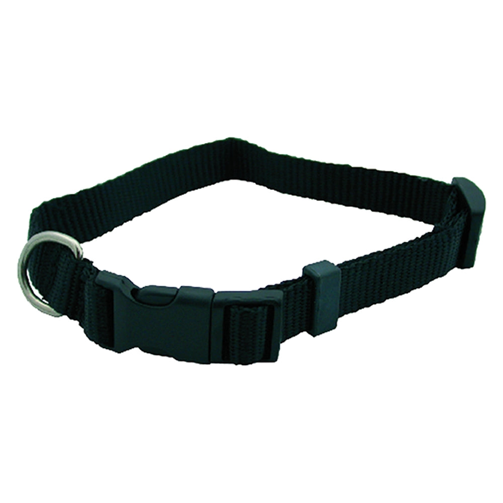 COLLARE PER CANE mm 25 x cm 60- 6 pezzi  - BricoGo