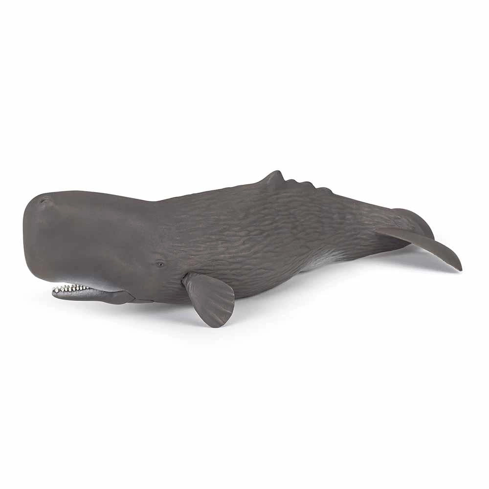 Papo - Sperm whale