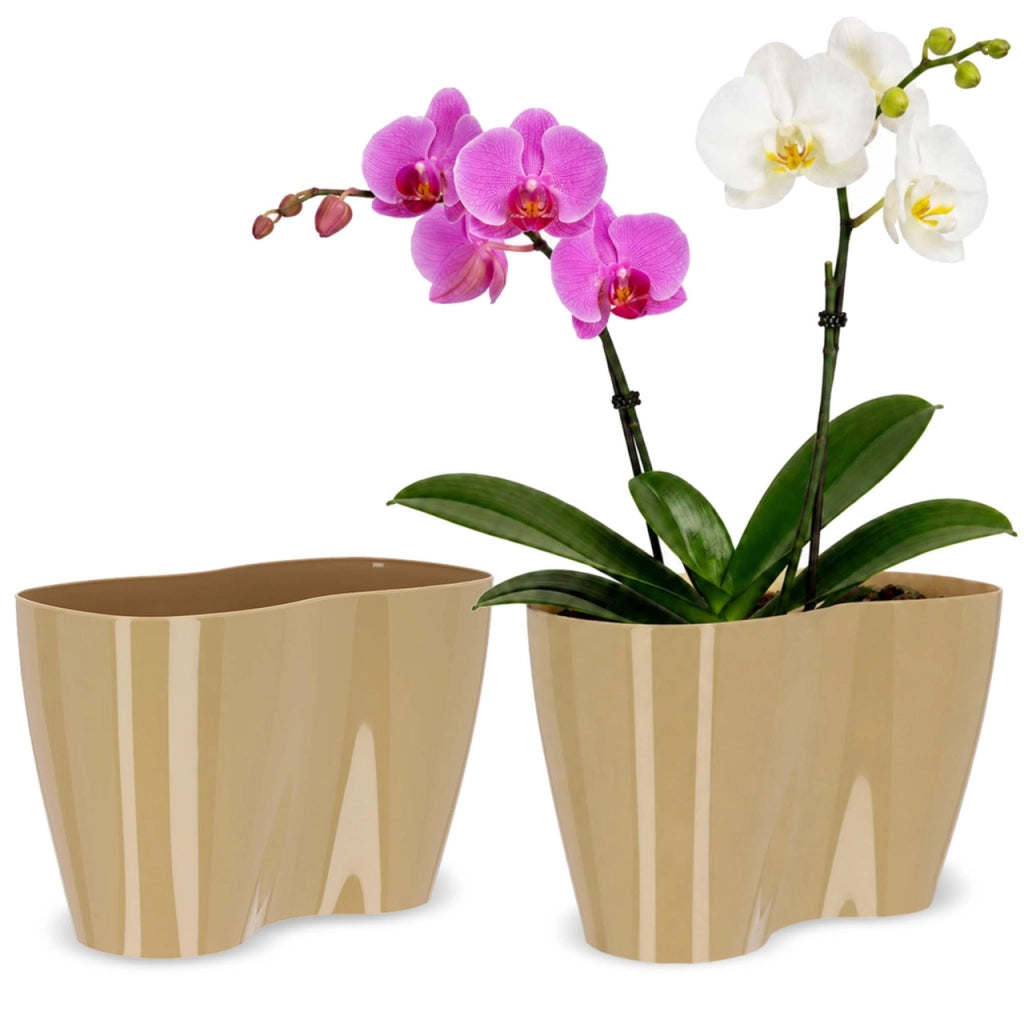 Vaso da fiori KADAX, Vaso da fiori, Vaso da fiori in plastica, Orchidea, 23 cm, Beige