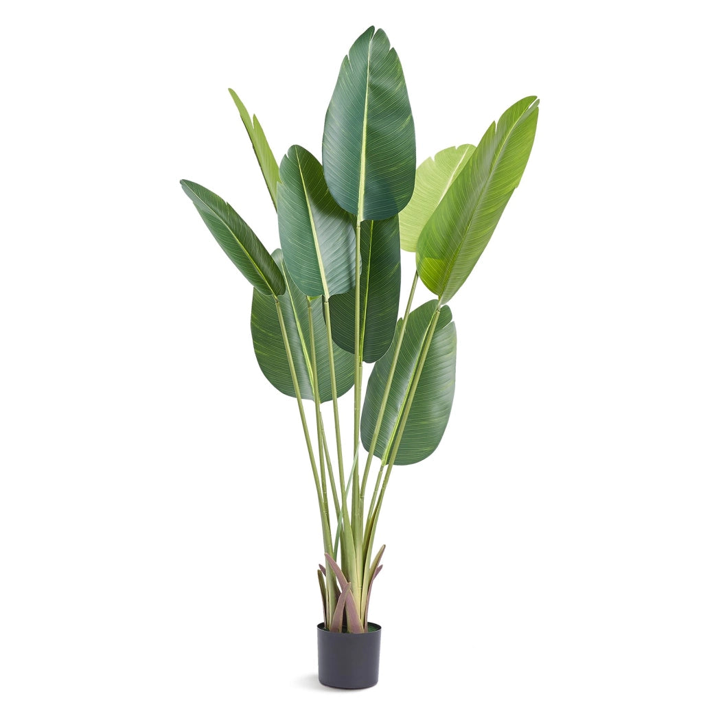 Pianta artificiale uccelli del paradiso 1,52 m in PE con vaso albero finto decorativo per interni ed esterni LY-SS-005