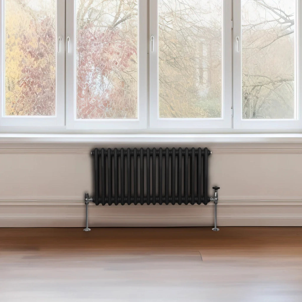 Termosifone Radiatore a 2 colonne per riscaldamento centralizzato orizzontale Nero 30x83cm