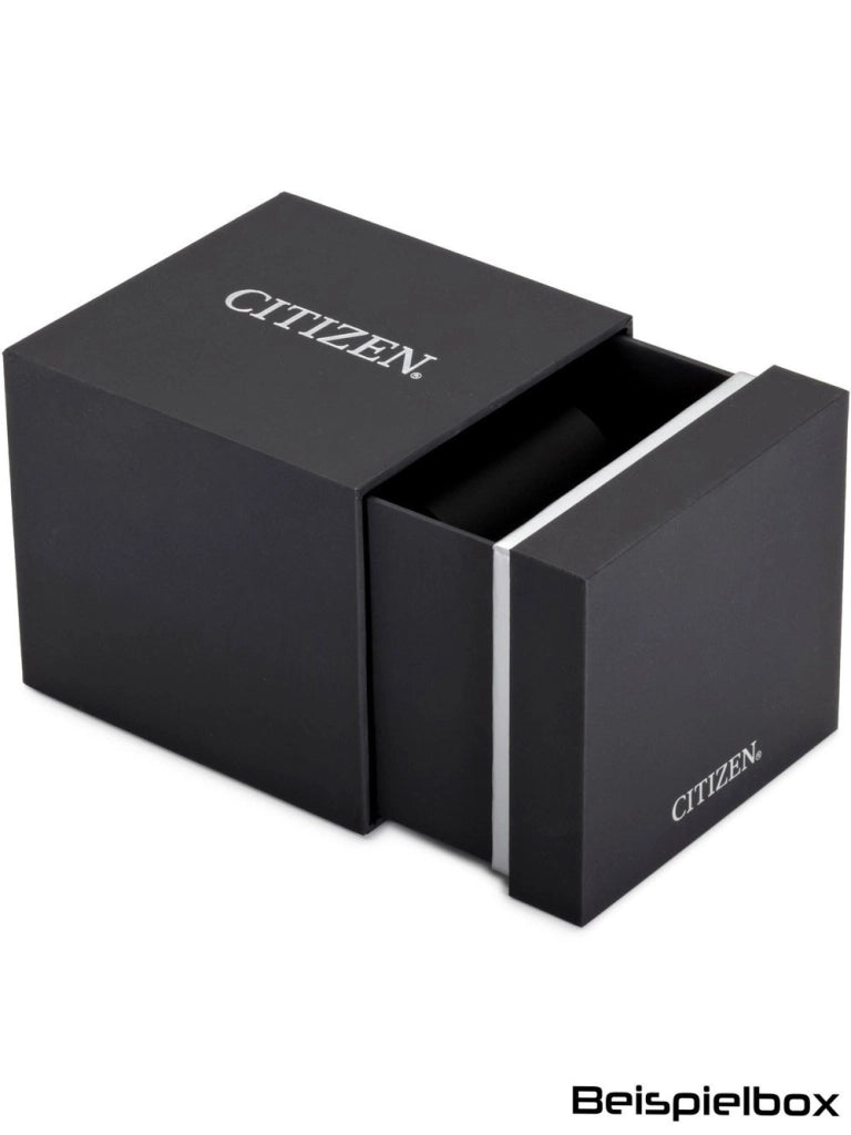 CITIZEN Mod. NB6012-18L