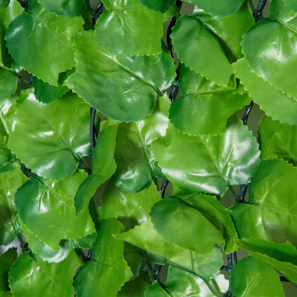 Vassoio per piante ¨C Zephmum ¨C 3x1 m verde