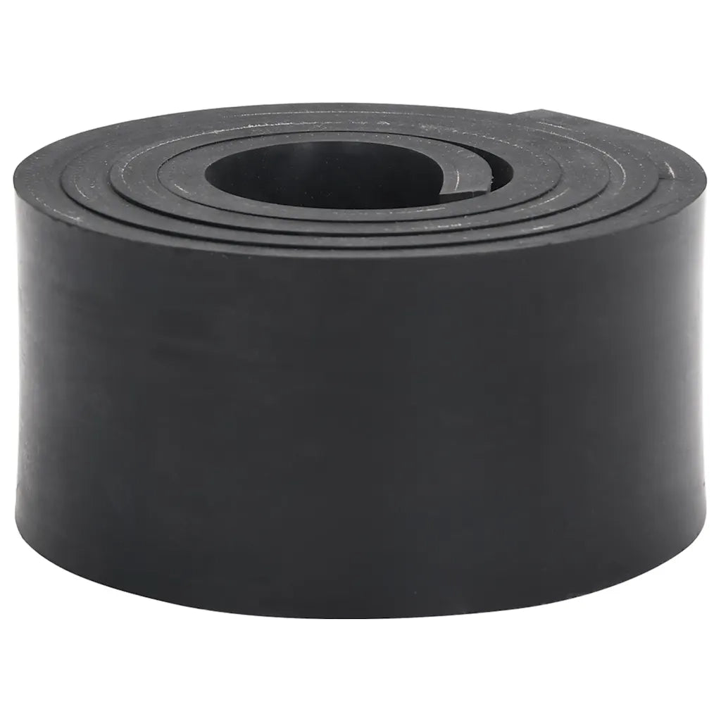 Bordo in Gomma per Spazzaneve Nero 180x10x1 cm 4103521
