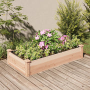 Fioriera Rialzata da Giardino-Vaso da Esterno-Fioriera Elevata Fodera 120x60x25cm Massello Abete