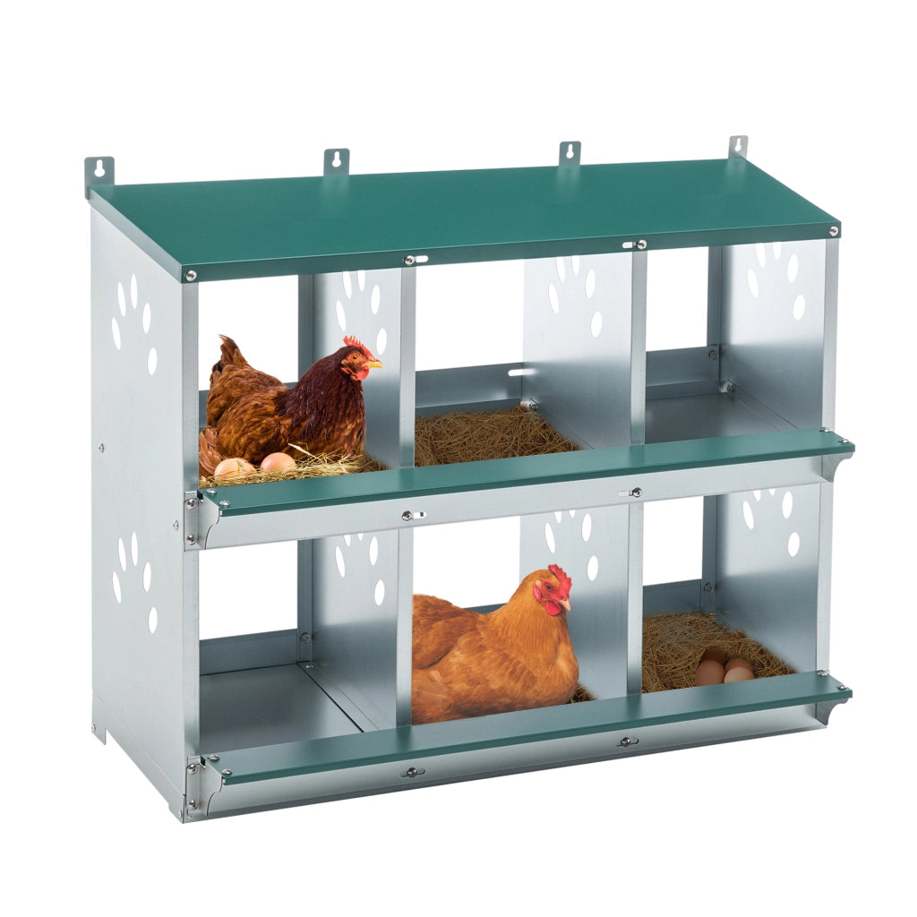NIDO PER GALLINE 6 posti 81x33x67 cm in metallo verde