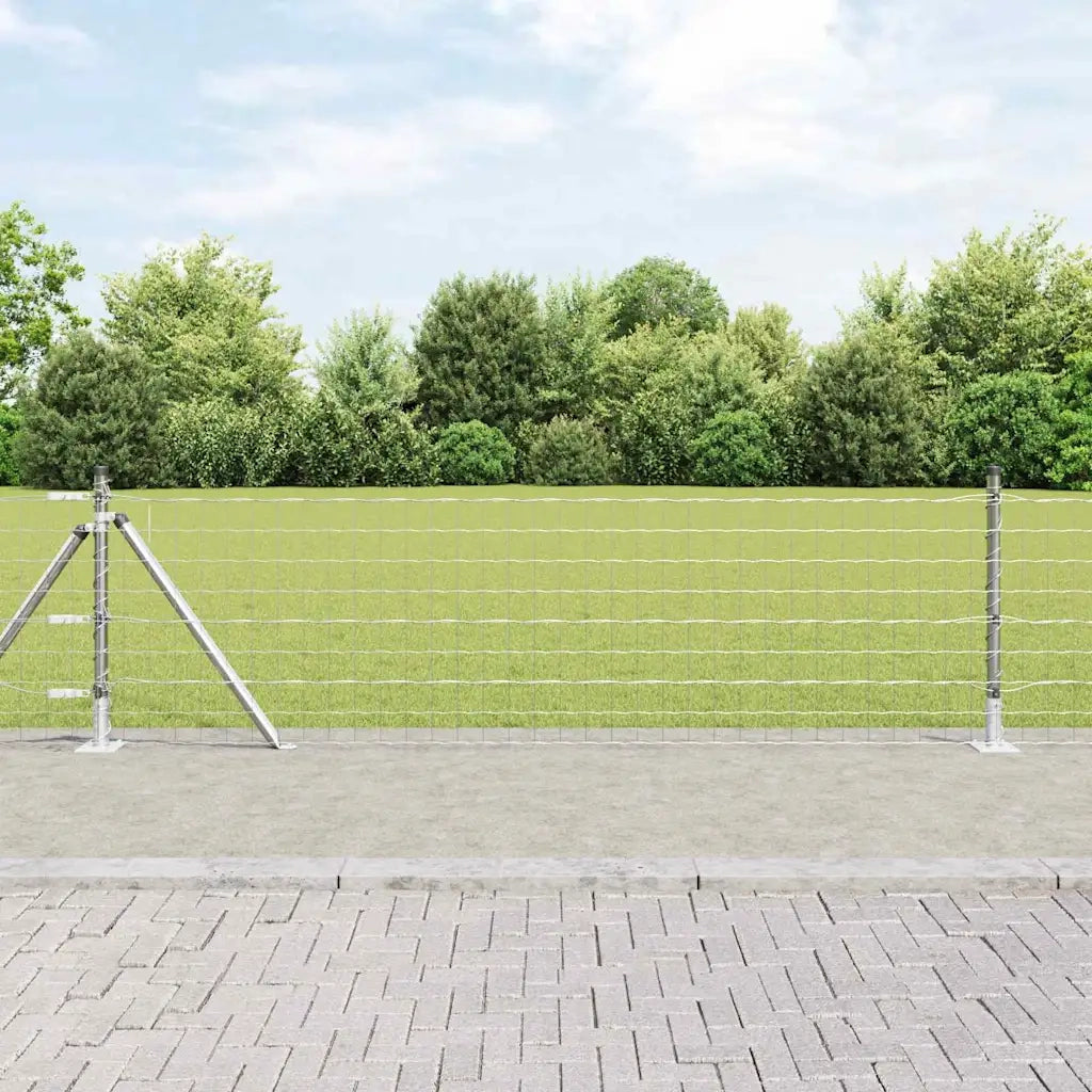 Recinzione con Posto Argento 0,4 x 25 m Acciaio