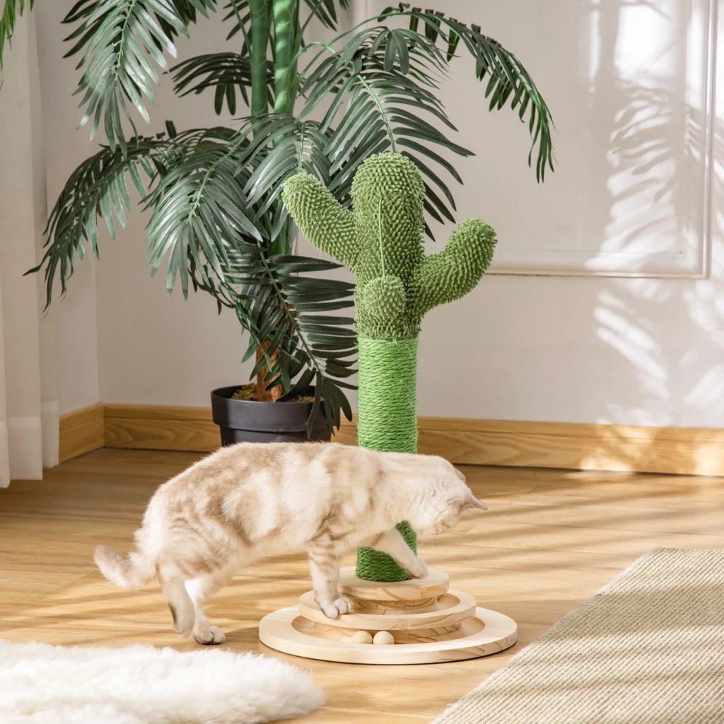 Tiragraffi a Colonna Cactus 60cm ¨C Xylo ¨C Sisal con Piattaforma e Palla Gioco Verde