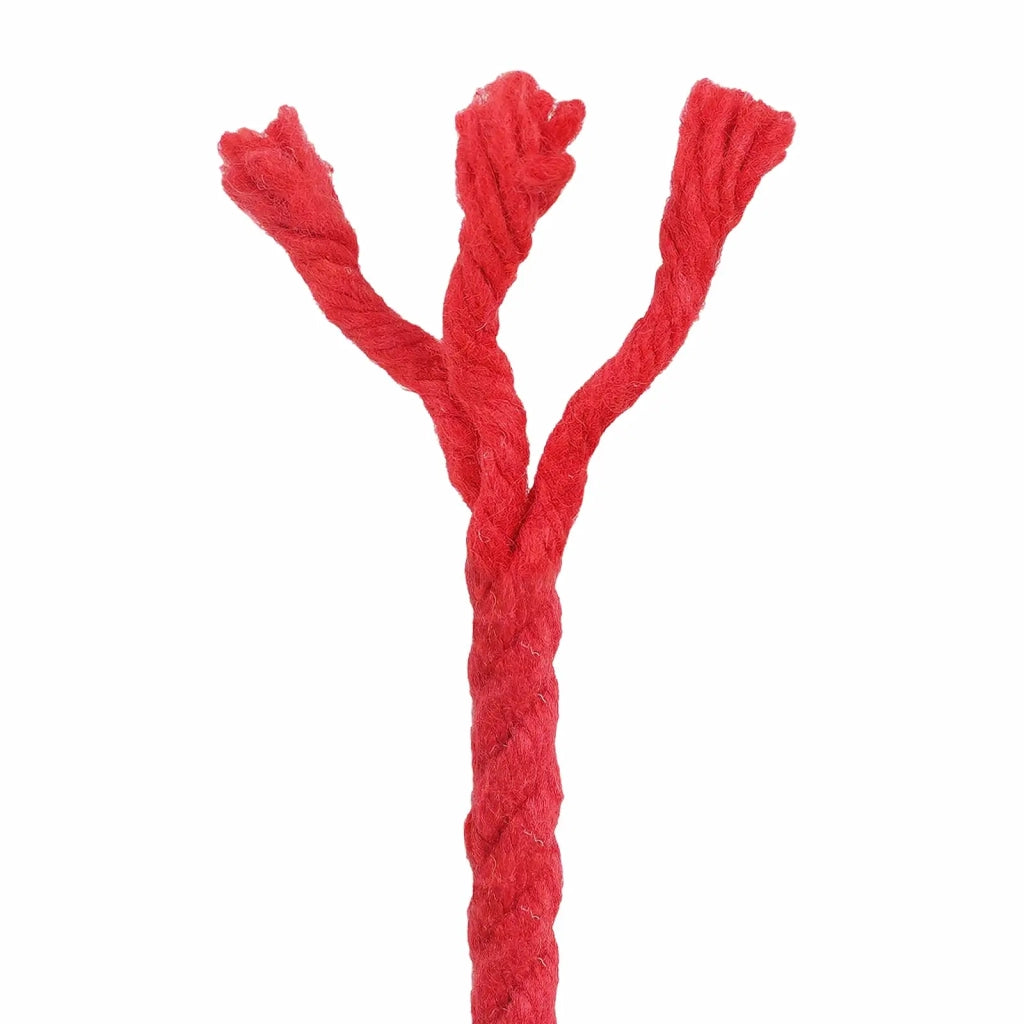 Corda di Cotone 6 mm 25 m Rosso 100% Cotone 42011897